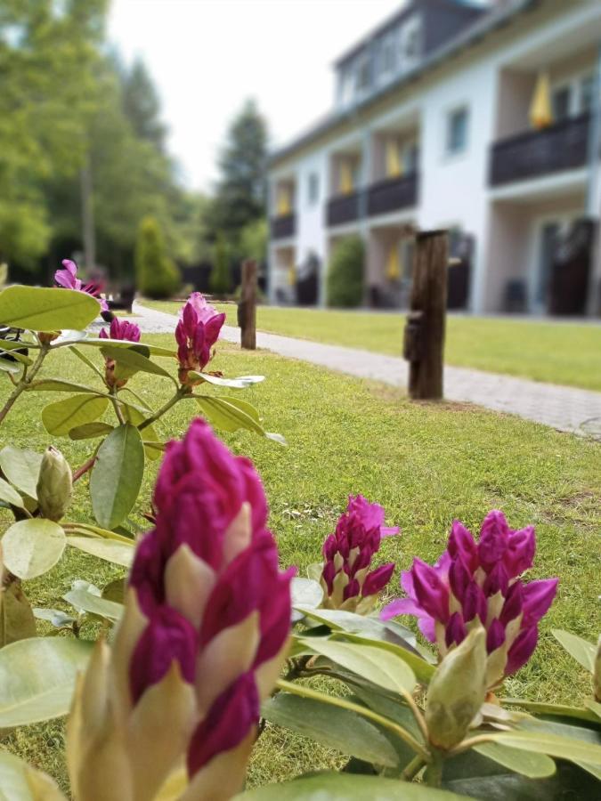 Gaestehaus Falkenhof Westensee Экстерьер фото